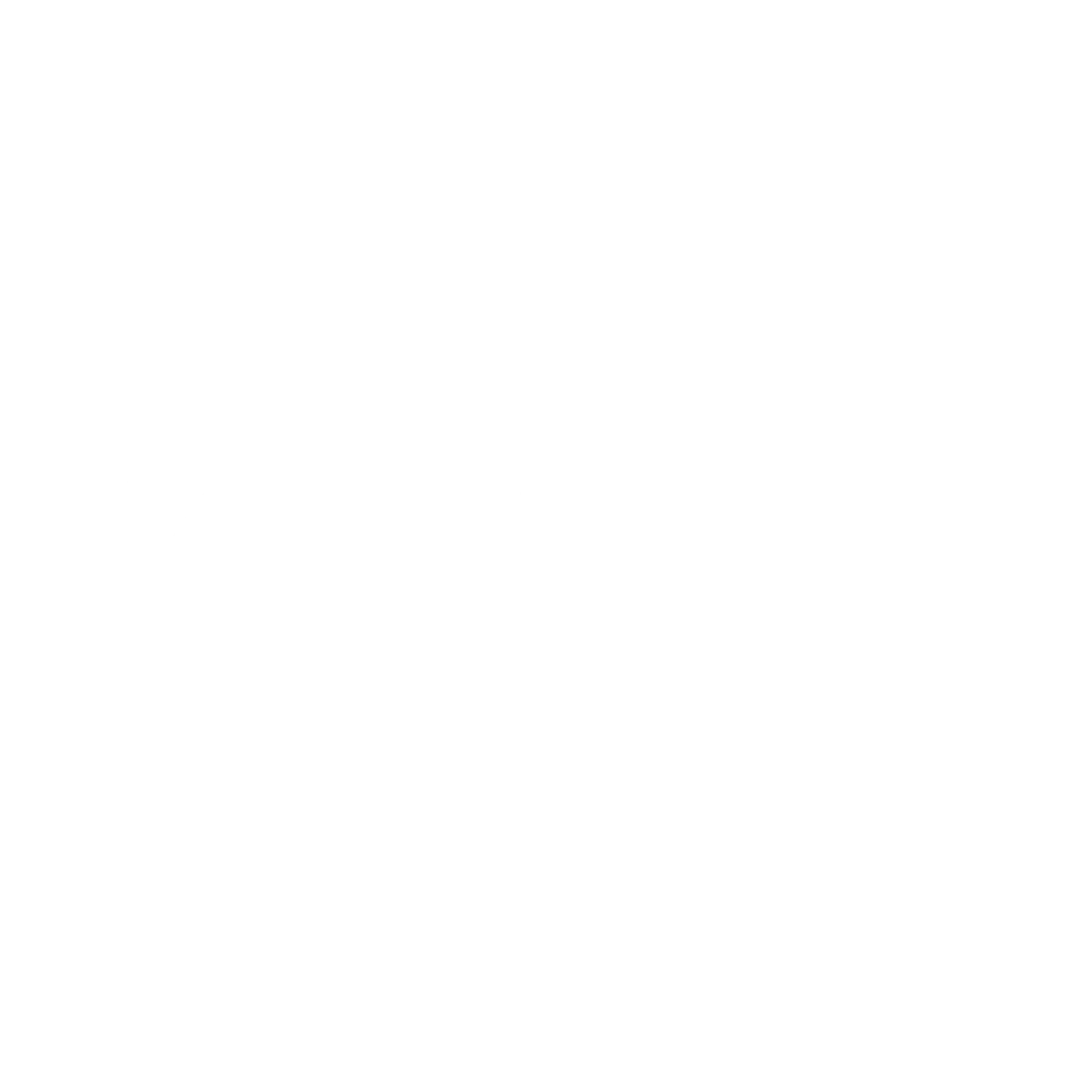 Investor 13