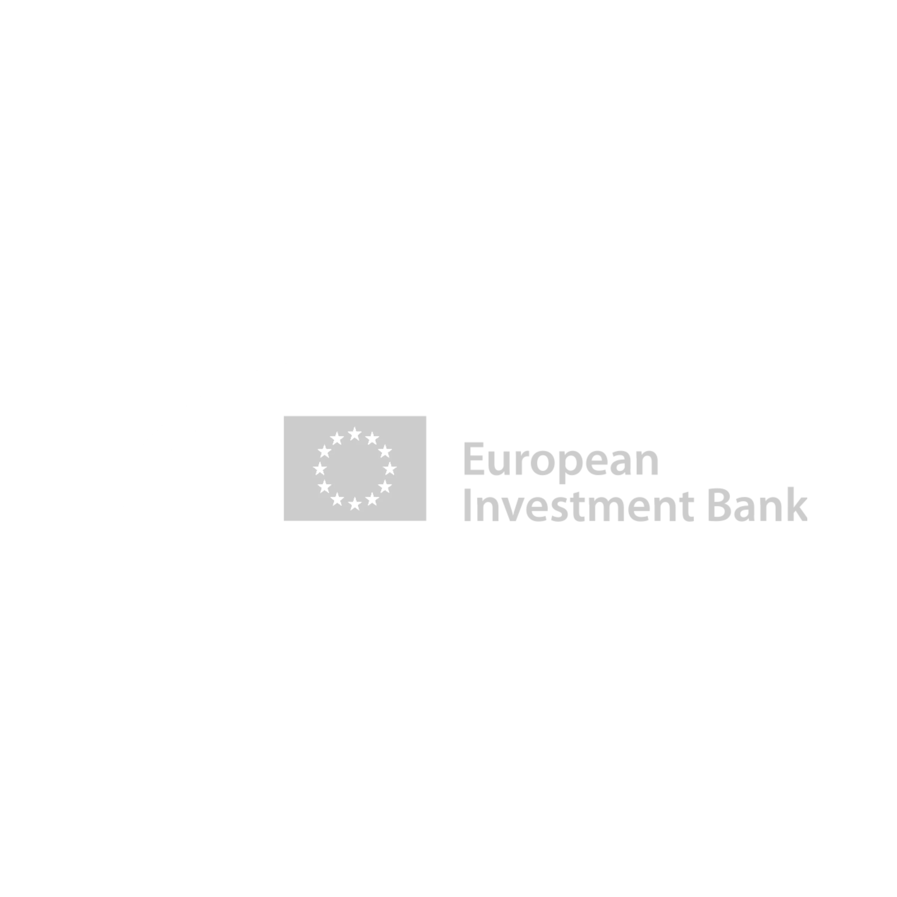 Investor 31