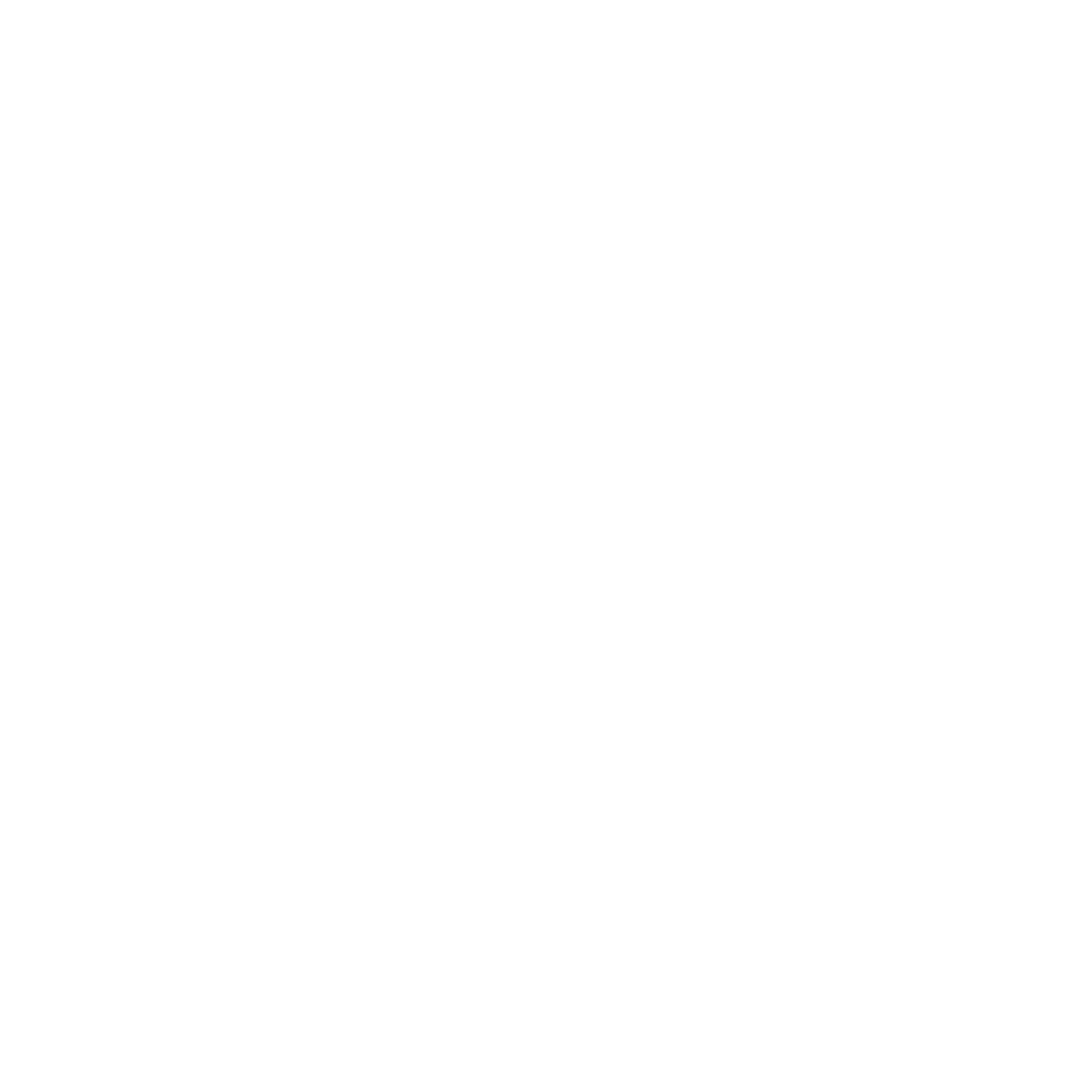 Investor 4